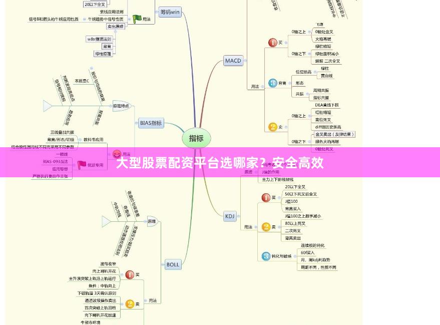 大型股票配资平台选哪家？安全高效